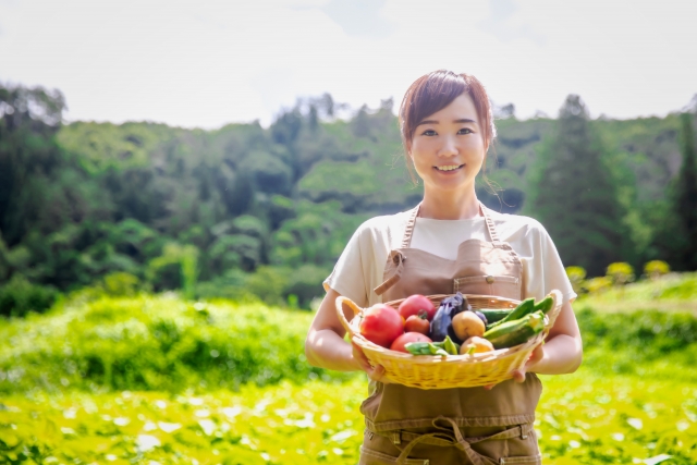 50代から始める趣味　家庭菜園の楽しみ