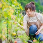 家庭菜園を成功させるためのポイント