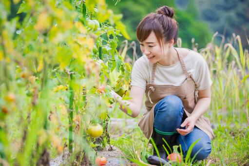 家庭菜園を成功させるためのポイント